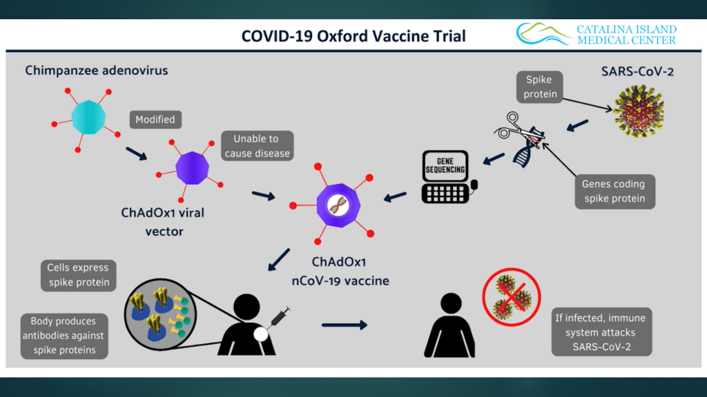 Video Update: Dr. Daniel Davis on COVID-19 Treatments and Vaccines