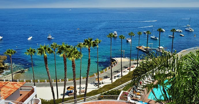 A sunny view of palm trees and boats along the Catalina Island shoreline