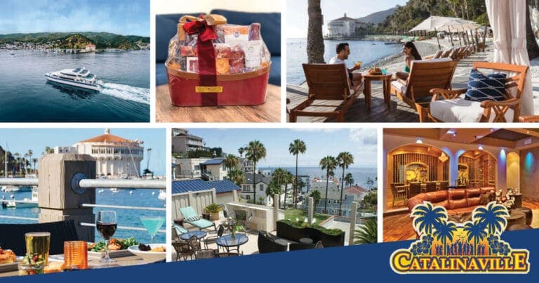 Catalinaville auction